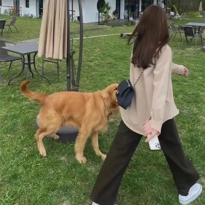勇敢的男儿